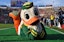 Oregon Ducks college football