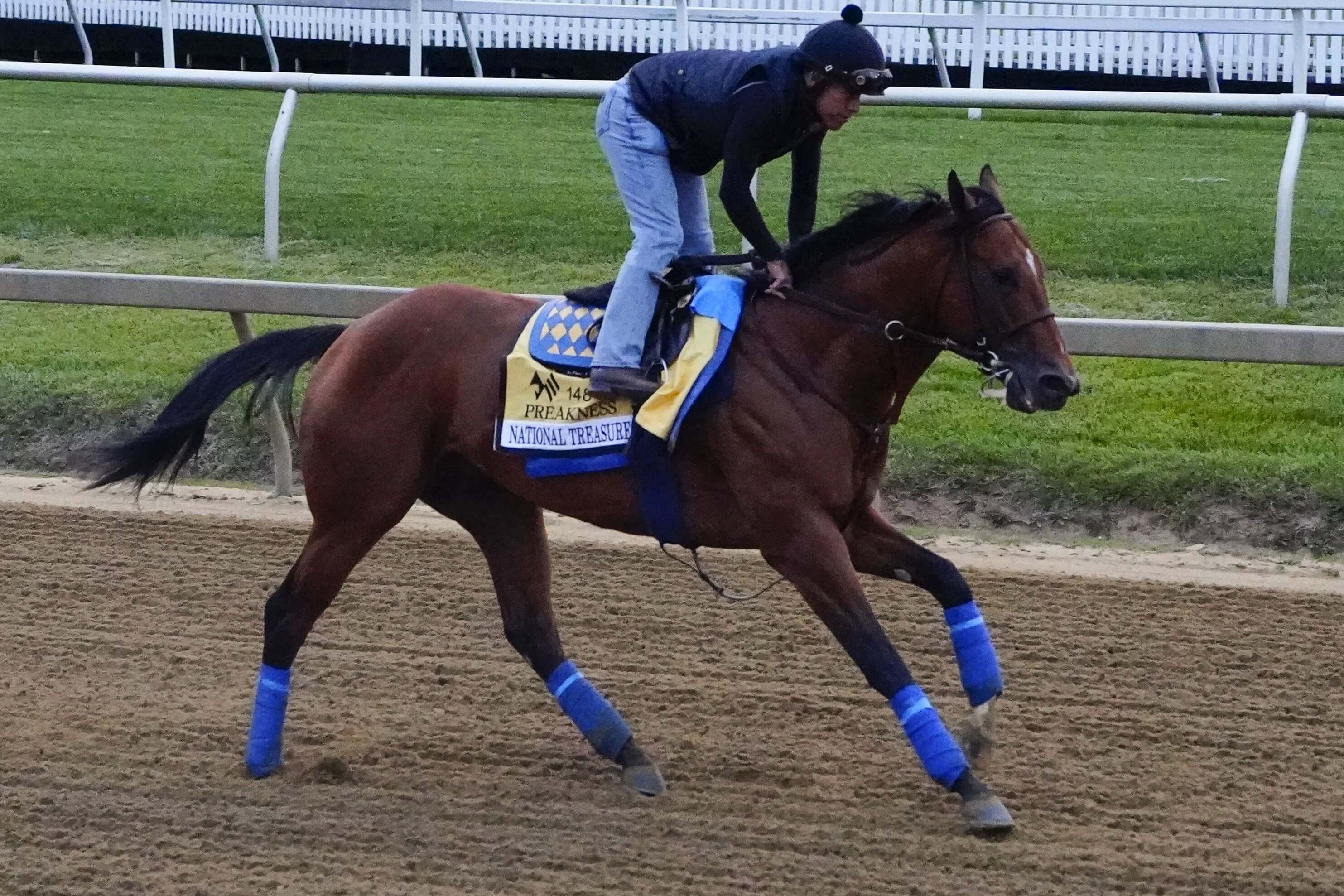 Best Trifecta, Superfecta, Exacta Picks for Preakness Stakes 2023