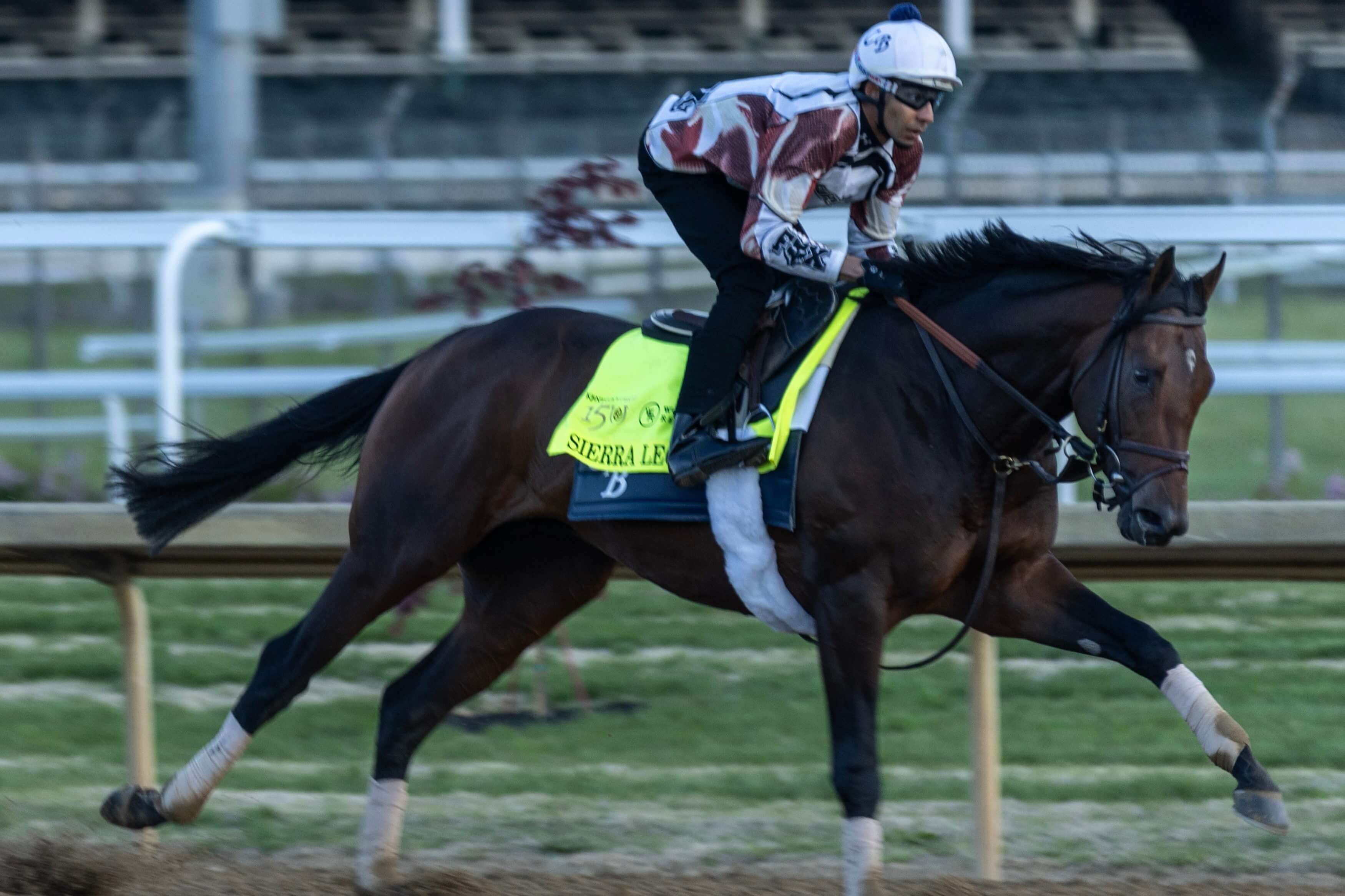 Kentucky Derby Odds & Betting Lines: Latest Odds and Favorites for 2024