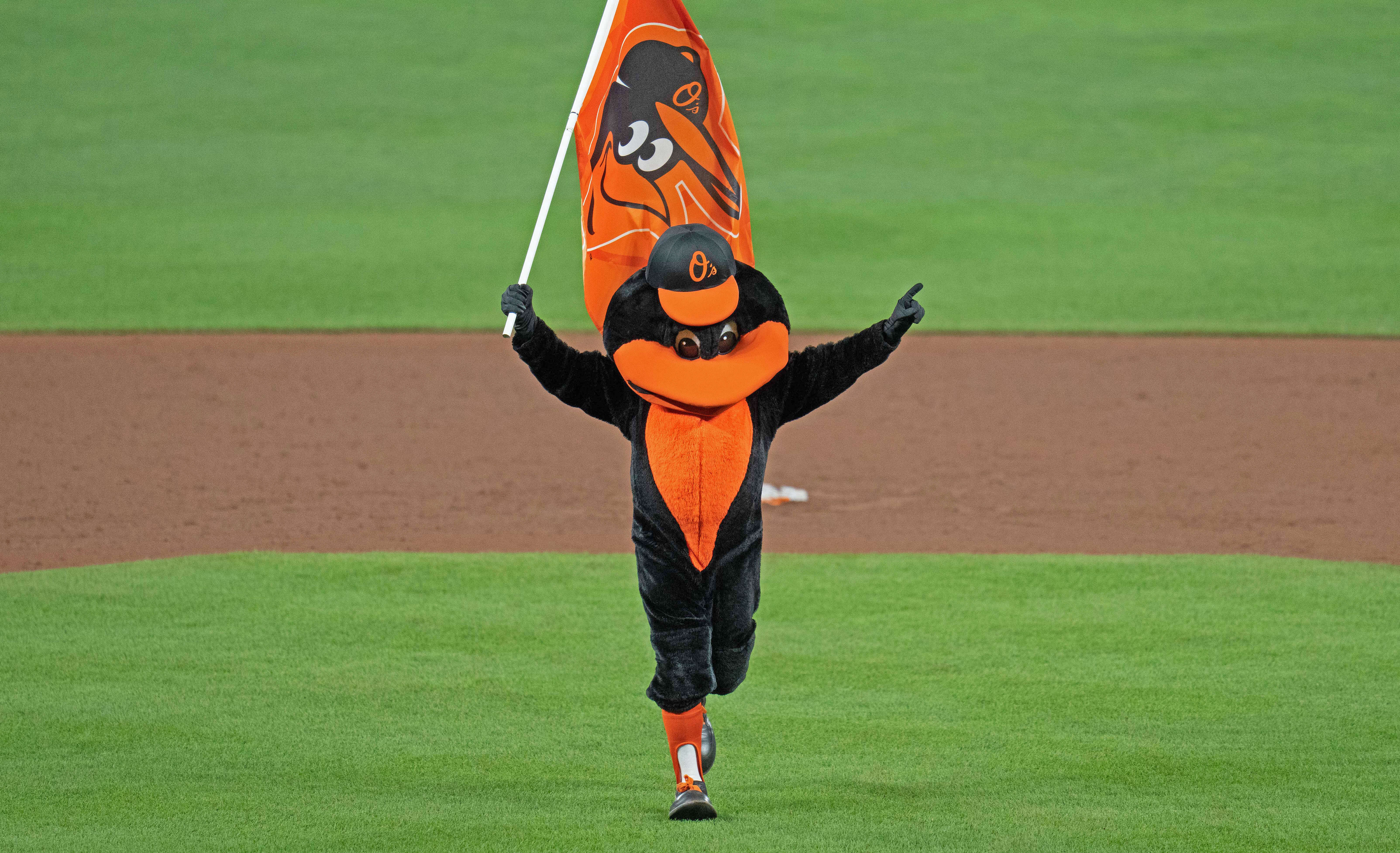 Baltimore Orioles Mascot MLB Draft odds
