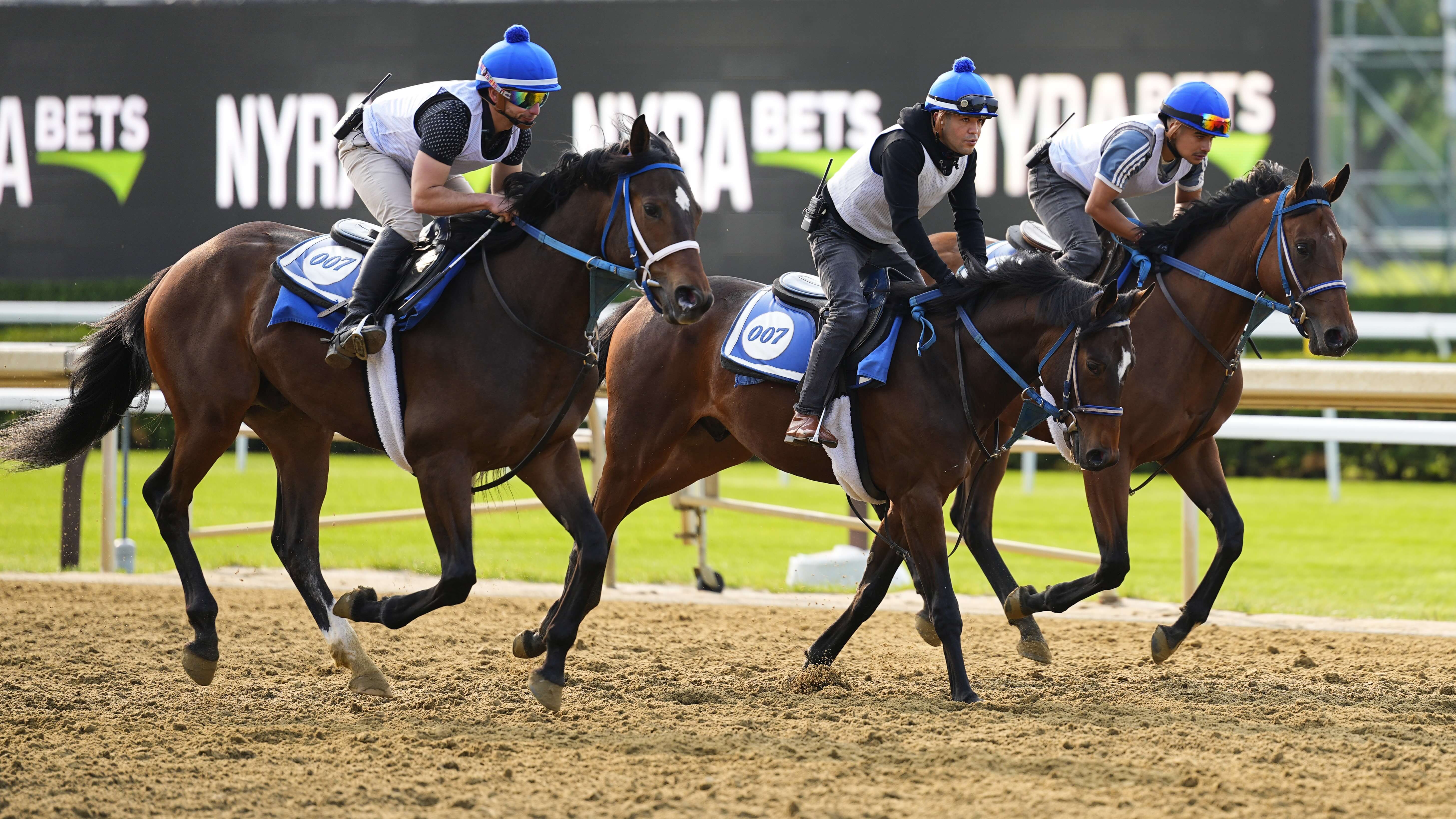How To Bet - Belmont Stakes Long Shot Pick & Prediction: Hill Road Outruns His Odds