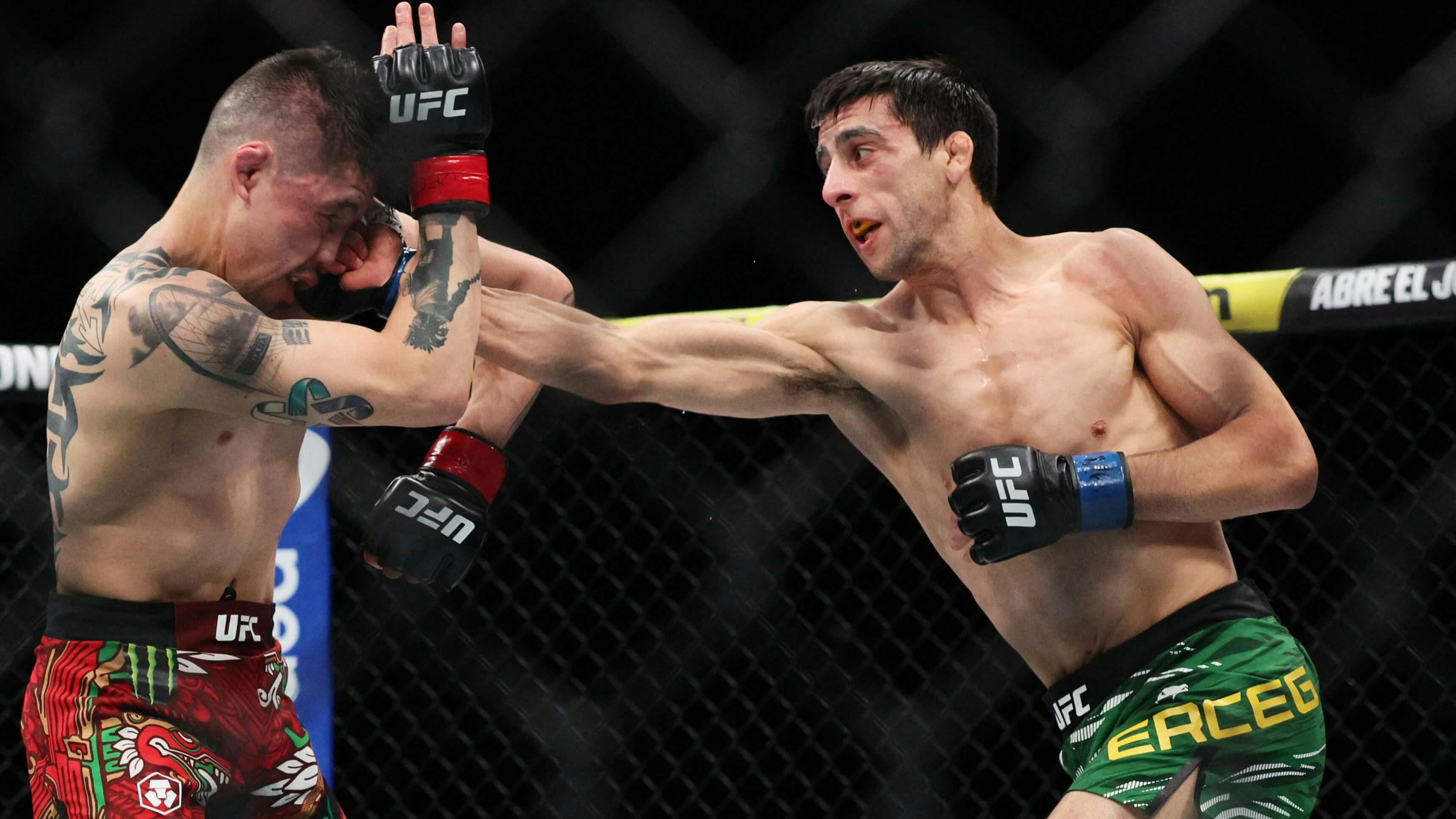 Steve Erceg vs Ramazan Temirov Predictions, Picks & Odds for UFC Fight Night in Abu Dhabi Today