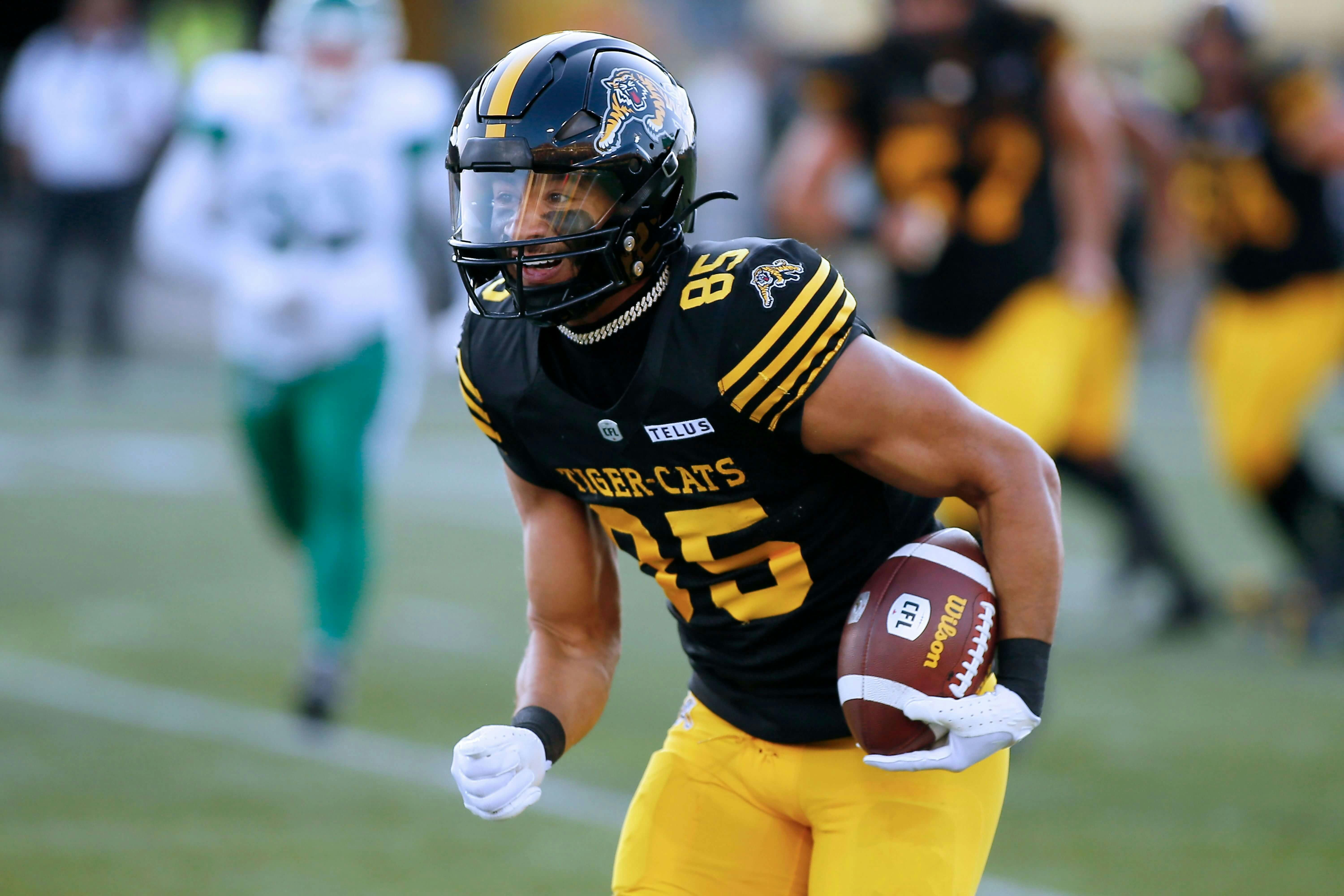 Elks vs Tiger-Cats Prediction, Picks & Odds for CFL Week 19 