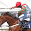 Francky Du Berlais Unibet Summer Plate