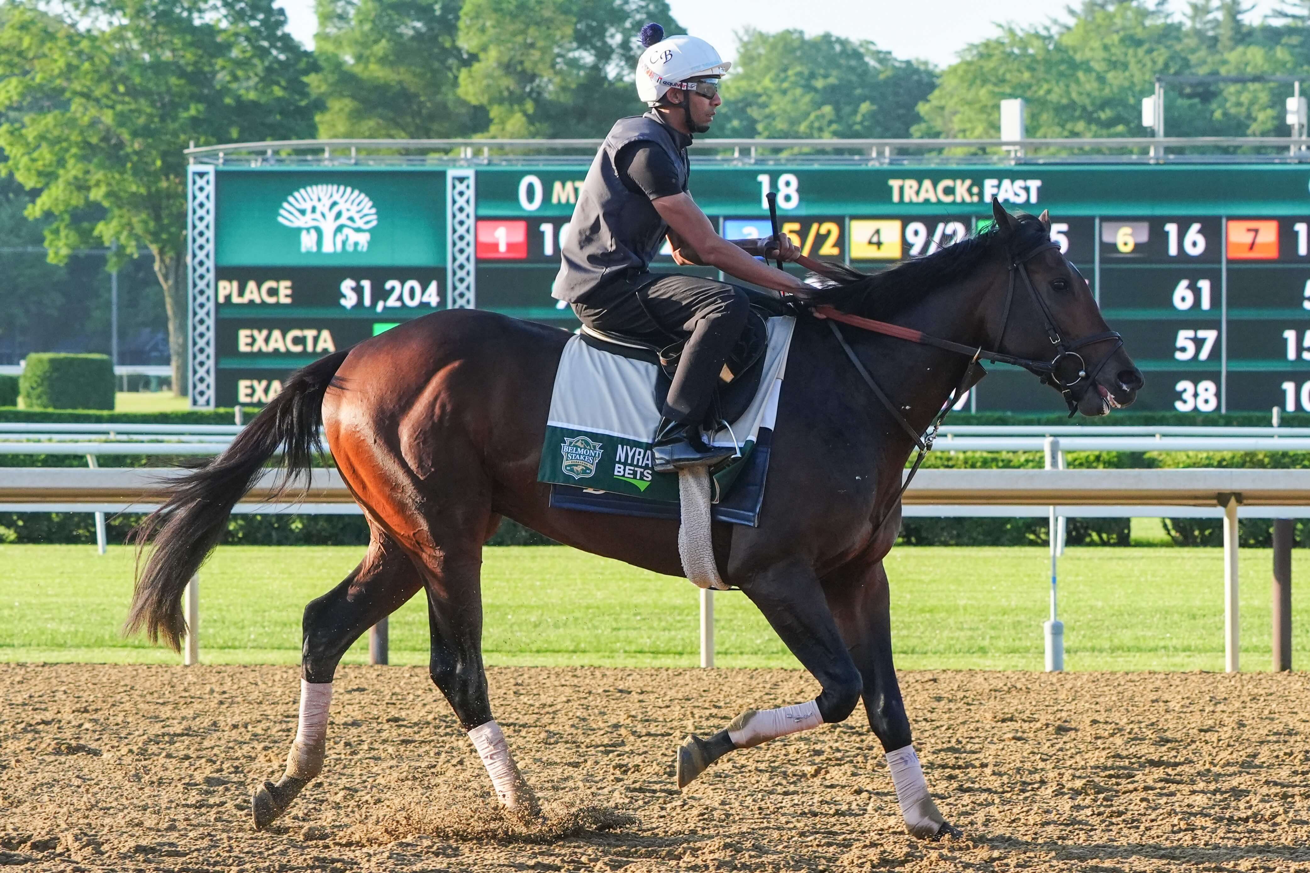 How To Bet - Belmont Stakes Picks: Best Trifecta, Superfecta, Exacta Bets for 2024