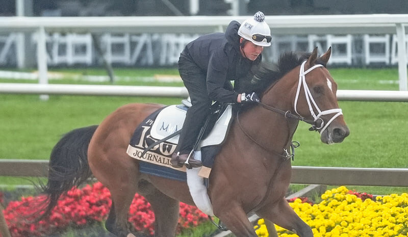 How To Bet - Preakness Stakes Predictions: Best Win, Place & Show Picks for Tonight