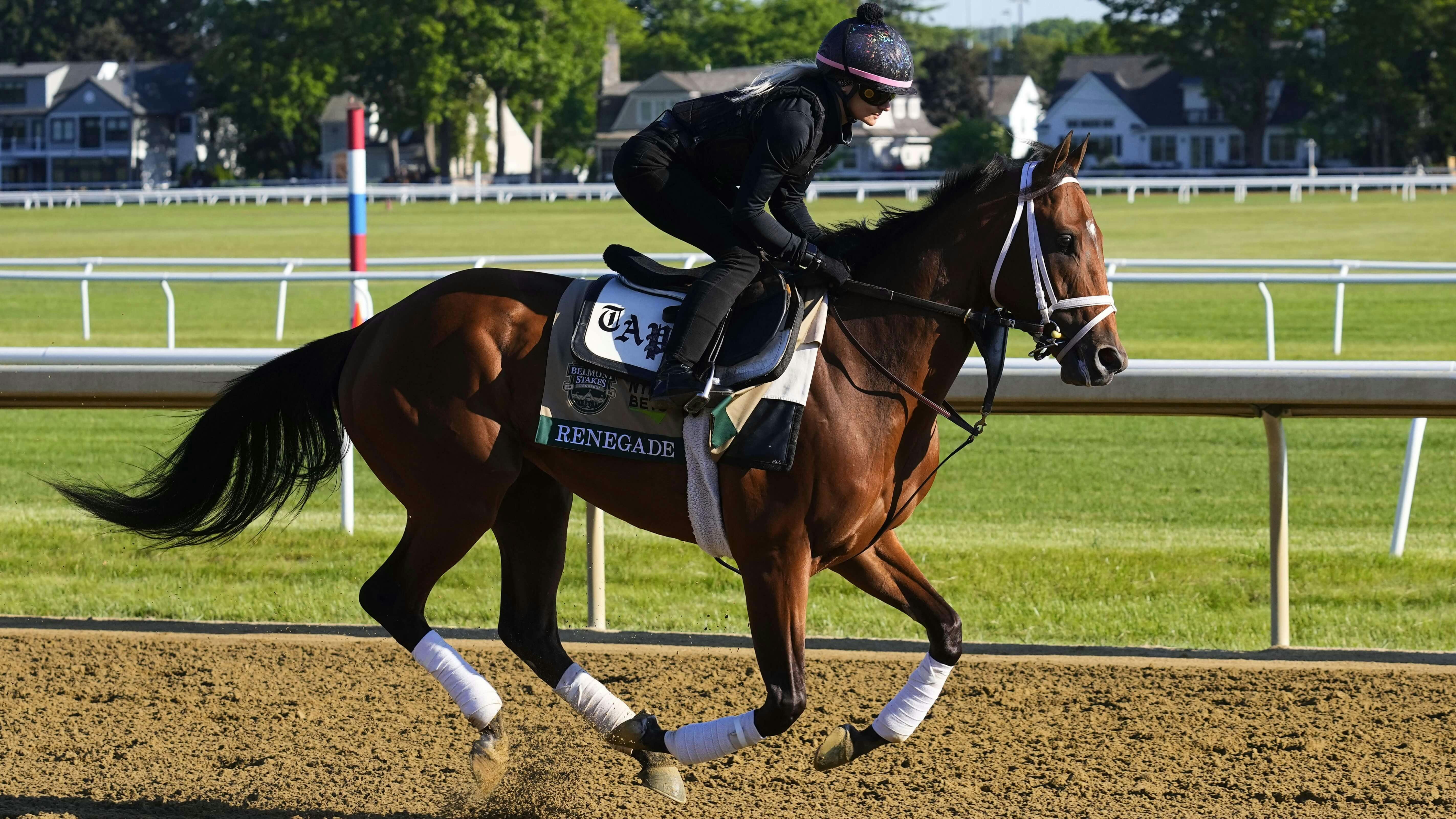 2026 Belmont Stakes Picks: Win, Place & Show Predictions