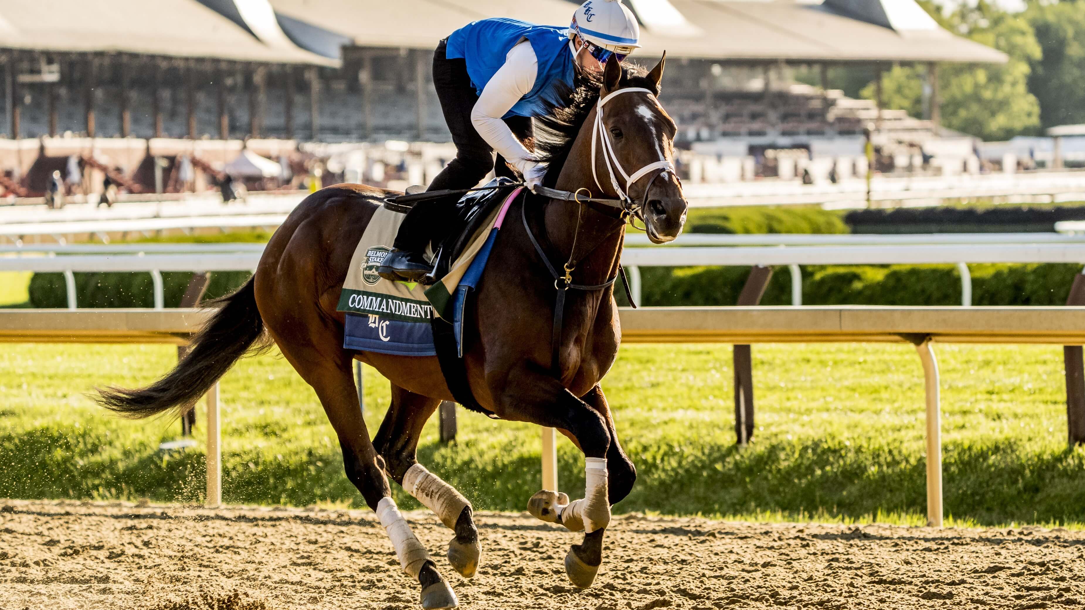 How To Bet - 2026 Belmont Stakes Horses: Full Field Analysis, Expert Rankings & More
