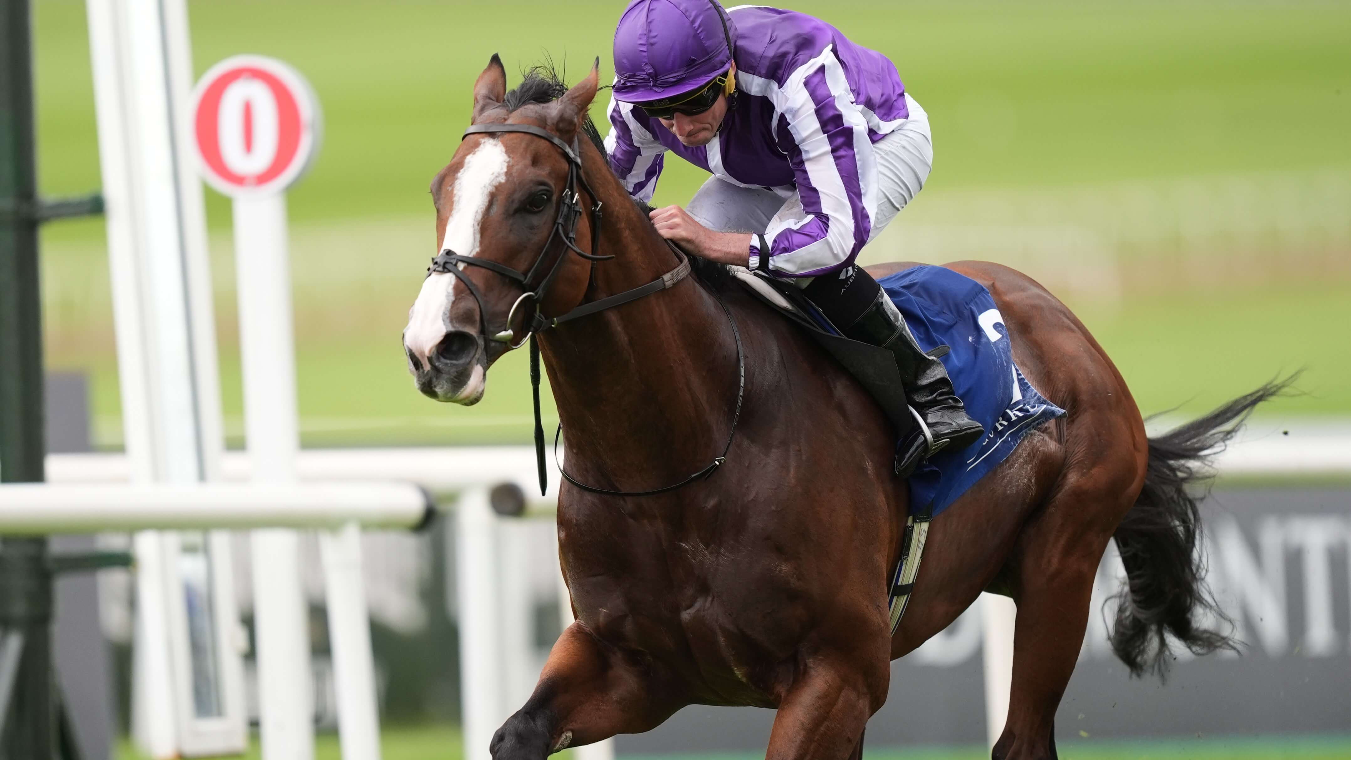 How To Bet - Road to the Breeders' Cup Picks & Best Bets for October 4: Champagne Stakes + Coolmore Turf Mile