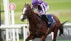 Road to the Breeders' Cup Picks & Best Bets for October 4: Champagne Stakes + Coolmore Turf Mile