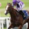 Diego Velazquez horse racing Breeders' Cup