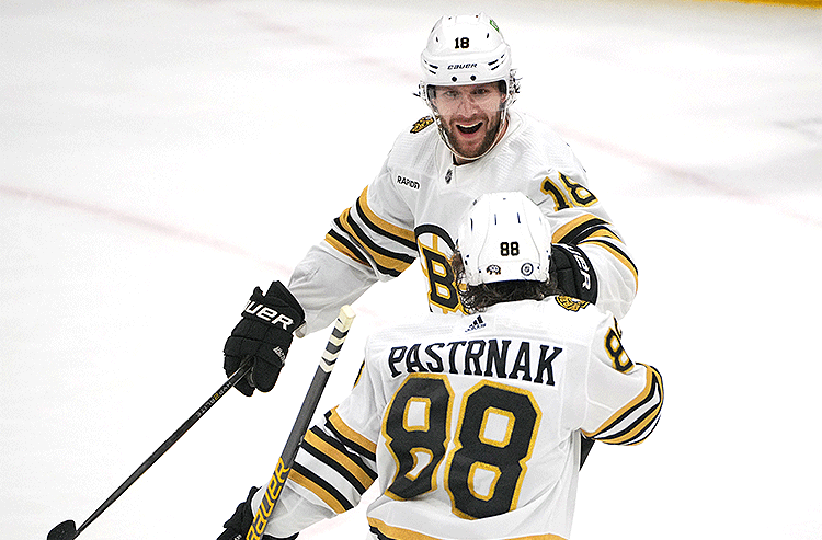 Pavel Zacha Boston Bruins NHL
