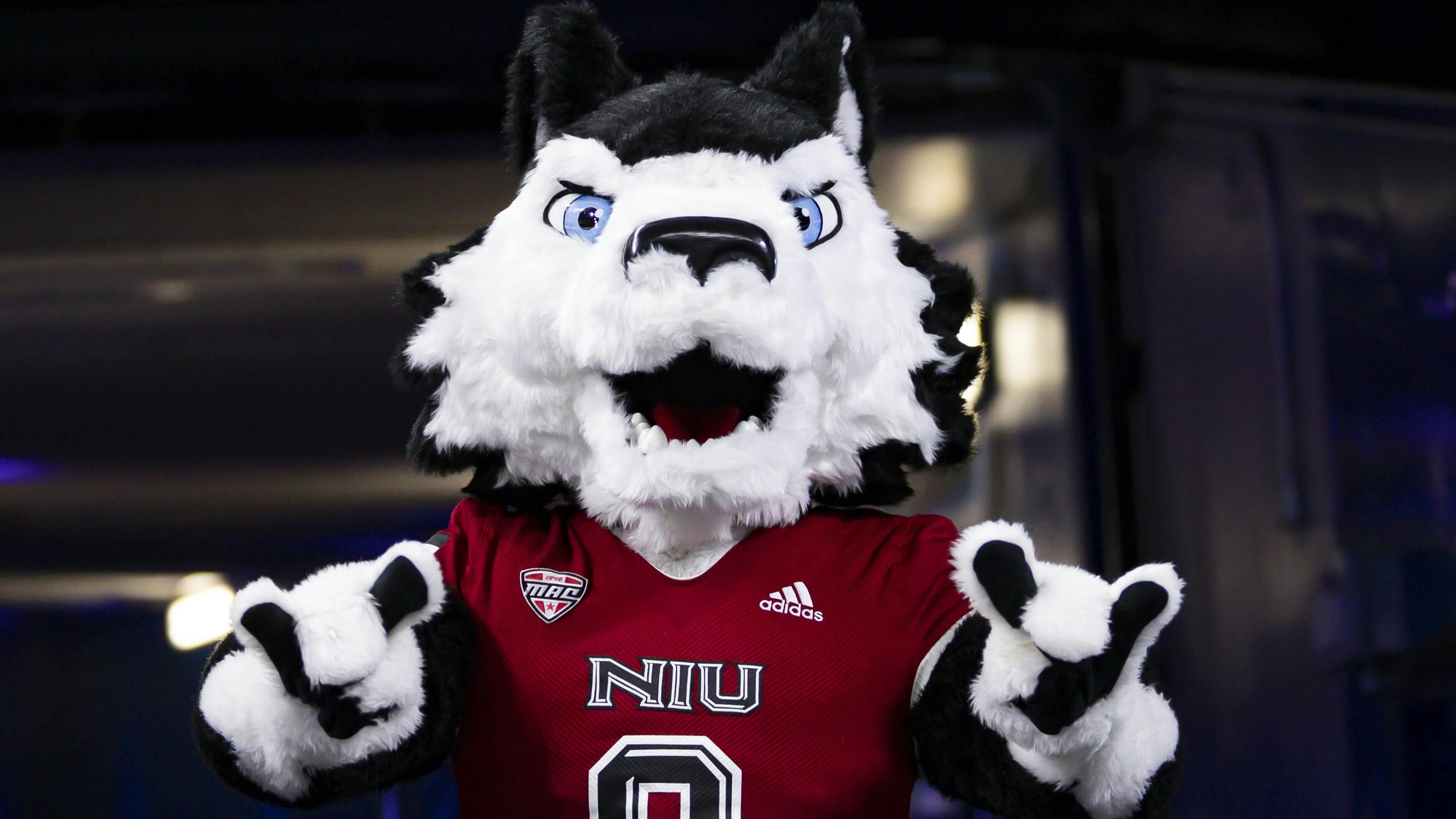 Northern Illinois Huskies NCAAF