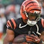 Cincinnati Bengals wide receiver Ja'Marr Chase (1) during warmups.