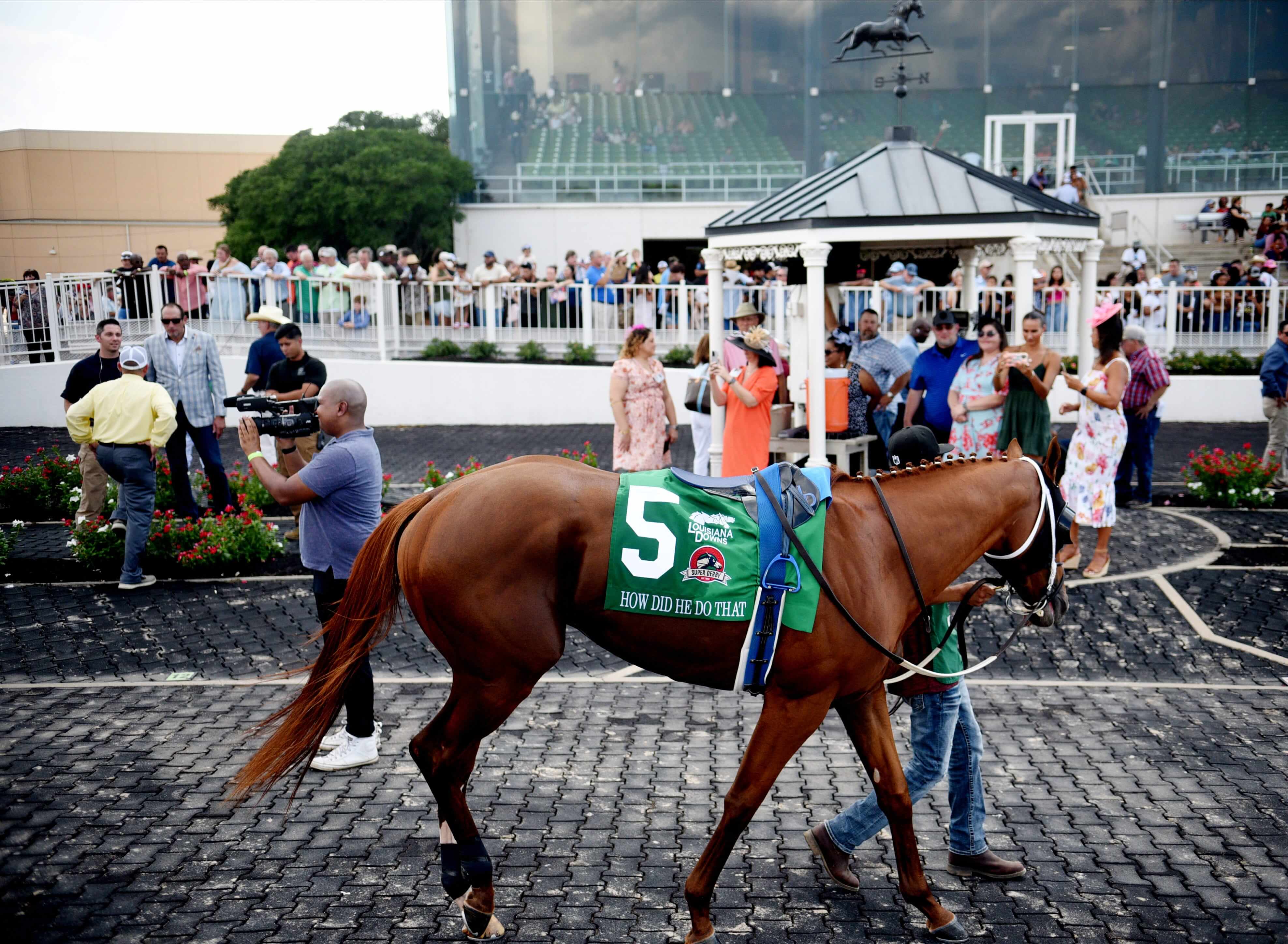 How To Bet - Louisiana Laying Foundation for Fixed-Odds Horse Racing via Online Sportsbooks