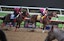 Ecoro Azel, right, and Forever Young exercise during morning workouts ahead of the 2024 Breeders' Cup Championship at Del Mar Thoroughbred Club. Mandatory Credit: Denis Poroy-Imagn Images