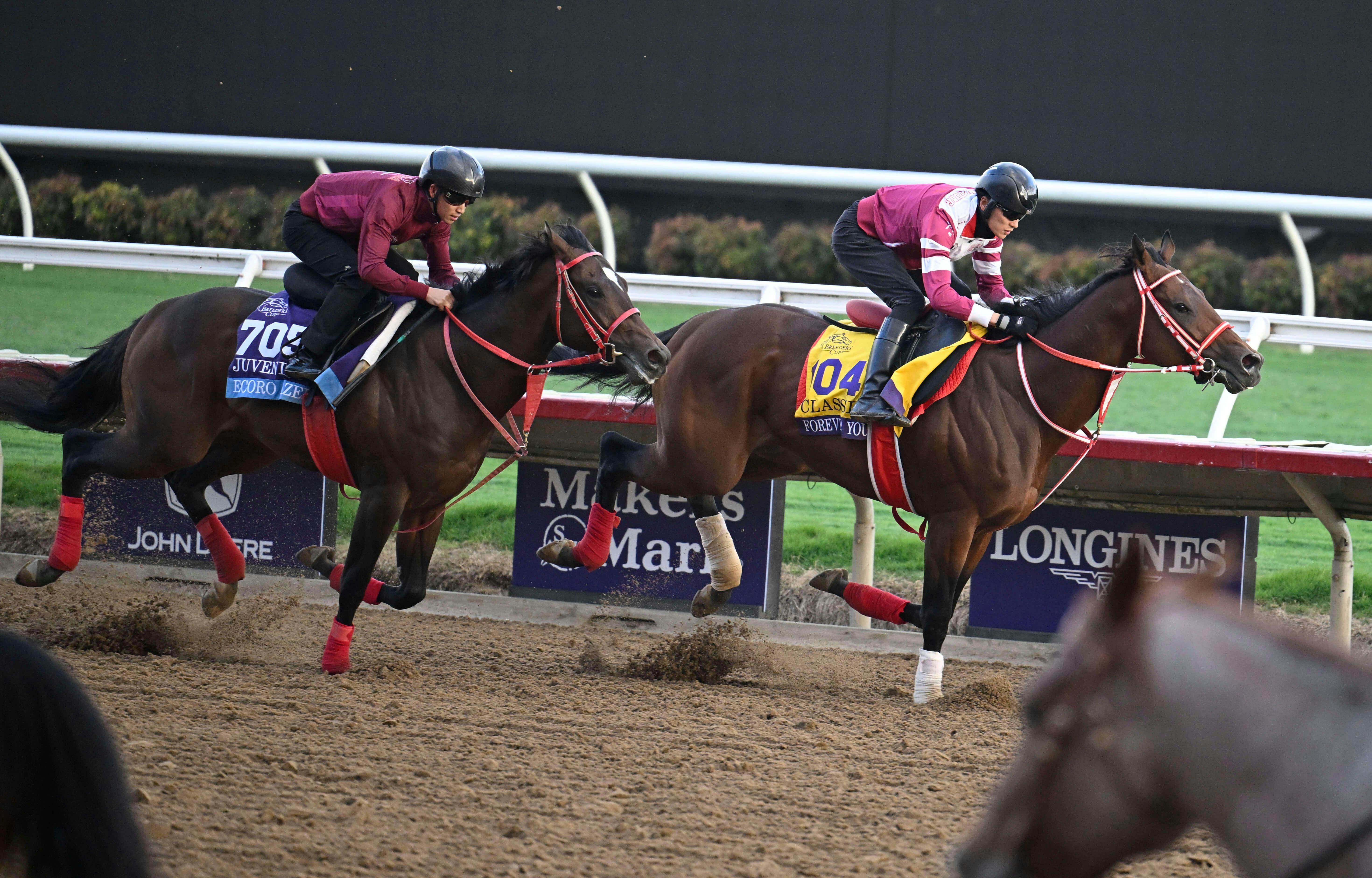 Ecoro Azel, right, and Forever Young exercise during morning workouts ahead of the 2024 Breeders' Cup Championship at Del Mar Thoroughbred Club. Mandatory Credit: Denis Poroy-Imagn Images