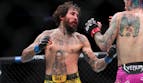 Marlon Vera vs Aiemann Zahabi Predictions, Picks & Odds