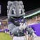 TCU Horned Frogs College Football