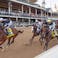 Horse racing Ontario sports betting