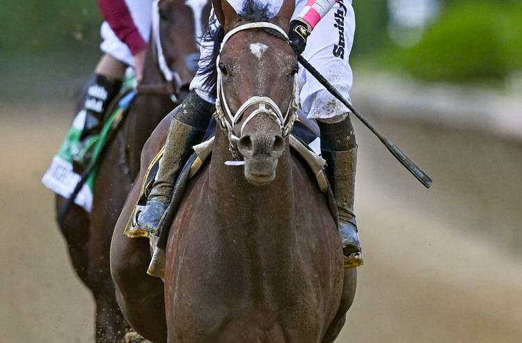 How To Bet - Preakness Stakes Results: Past Winners & Payouts