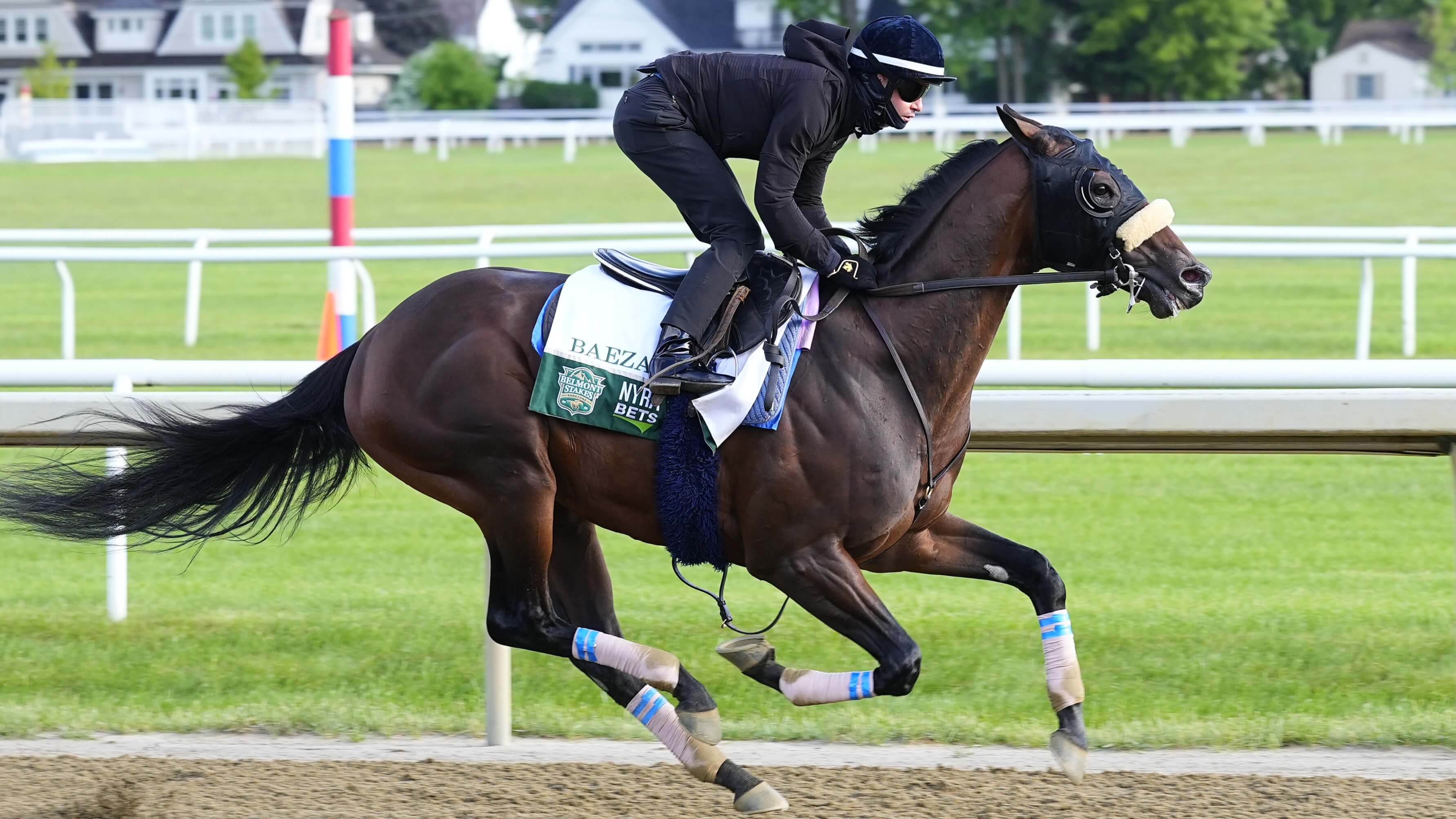 How To Bet - Belmont Stakes Predictions: Win, Place & Show Picks for 2025