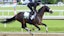 Belmont Stakes horse racing Baeza