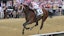 Belmont Stakes horse racing Journalism