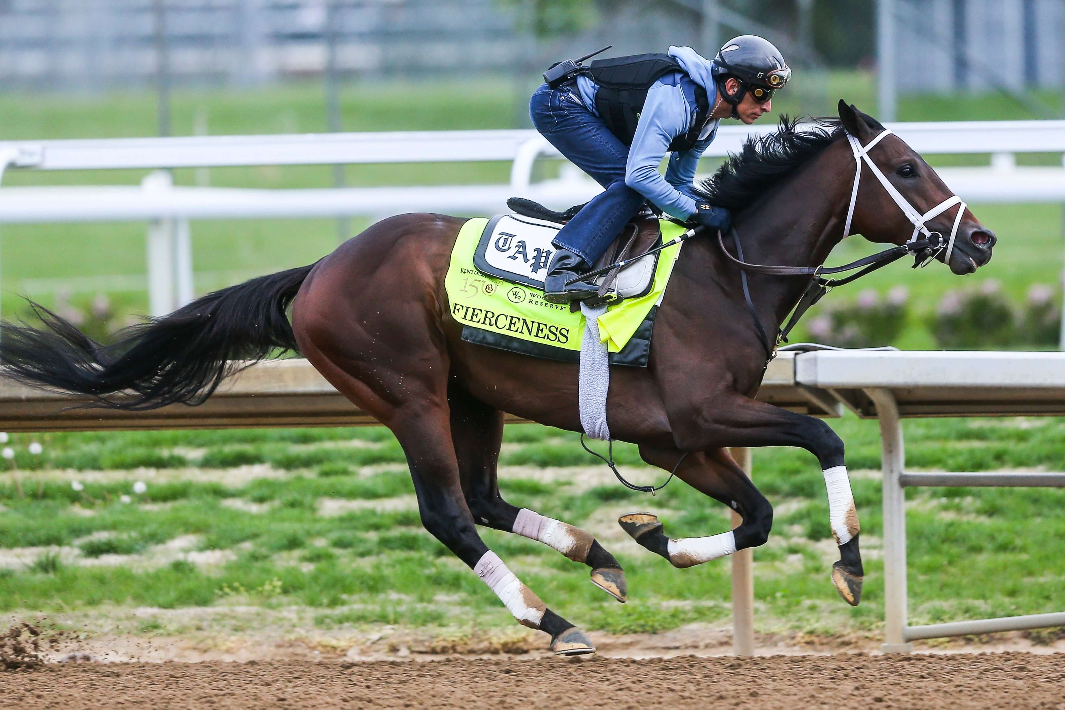 How To Bet - Triple Crown Odds: Can This Year's Derby Winner Go The Distance?