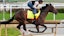Burnham Square horse racing Kentucky Derby