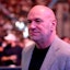 Dana White.