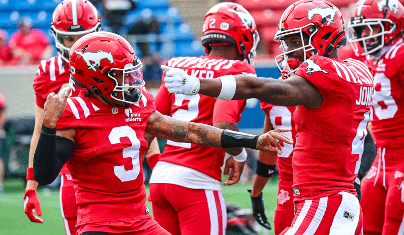 Alouettes vs Stampeders Prediction, Picks & Odds for CFL Week 8