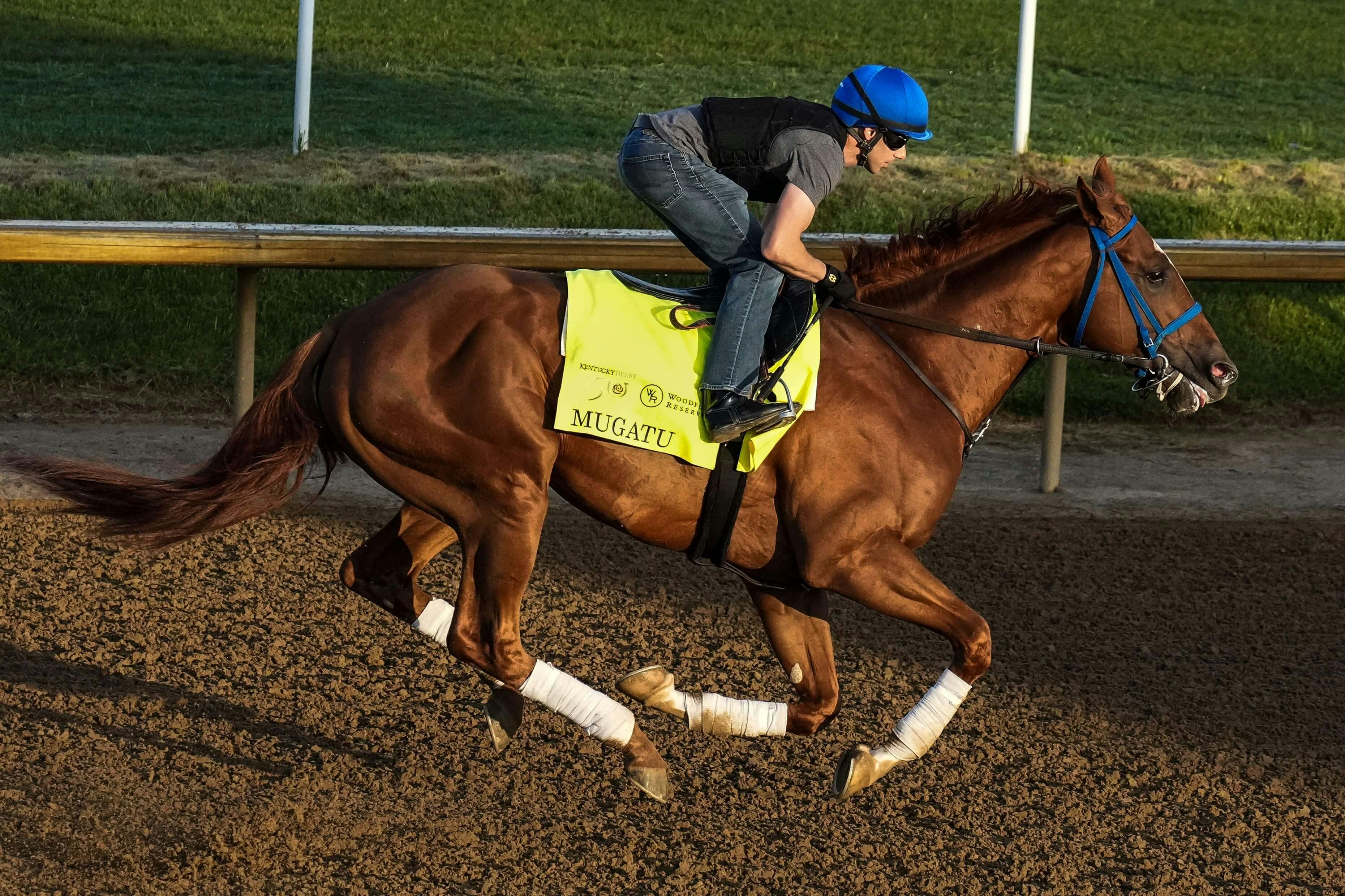 Kentucky Derby Odds 2024 Early Scratch Time Passes, Mugatu Out