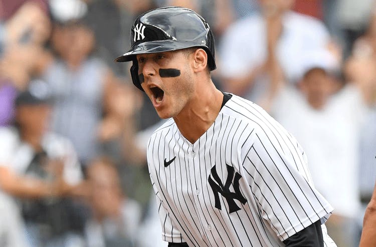 Anthony Rizzo New York Yankees MLB