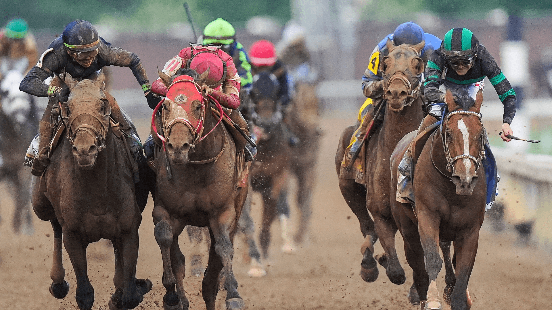 How To Bet - 2025 Kentucky Derby Payouts: Win, Place, Show Results