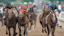 Kentucky Derby payouts win place show