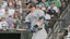 New York Yankees MLB Aaron Judge