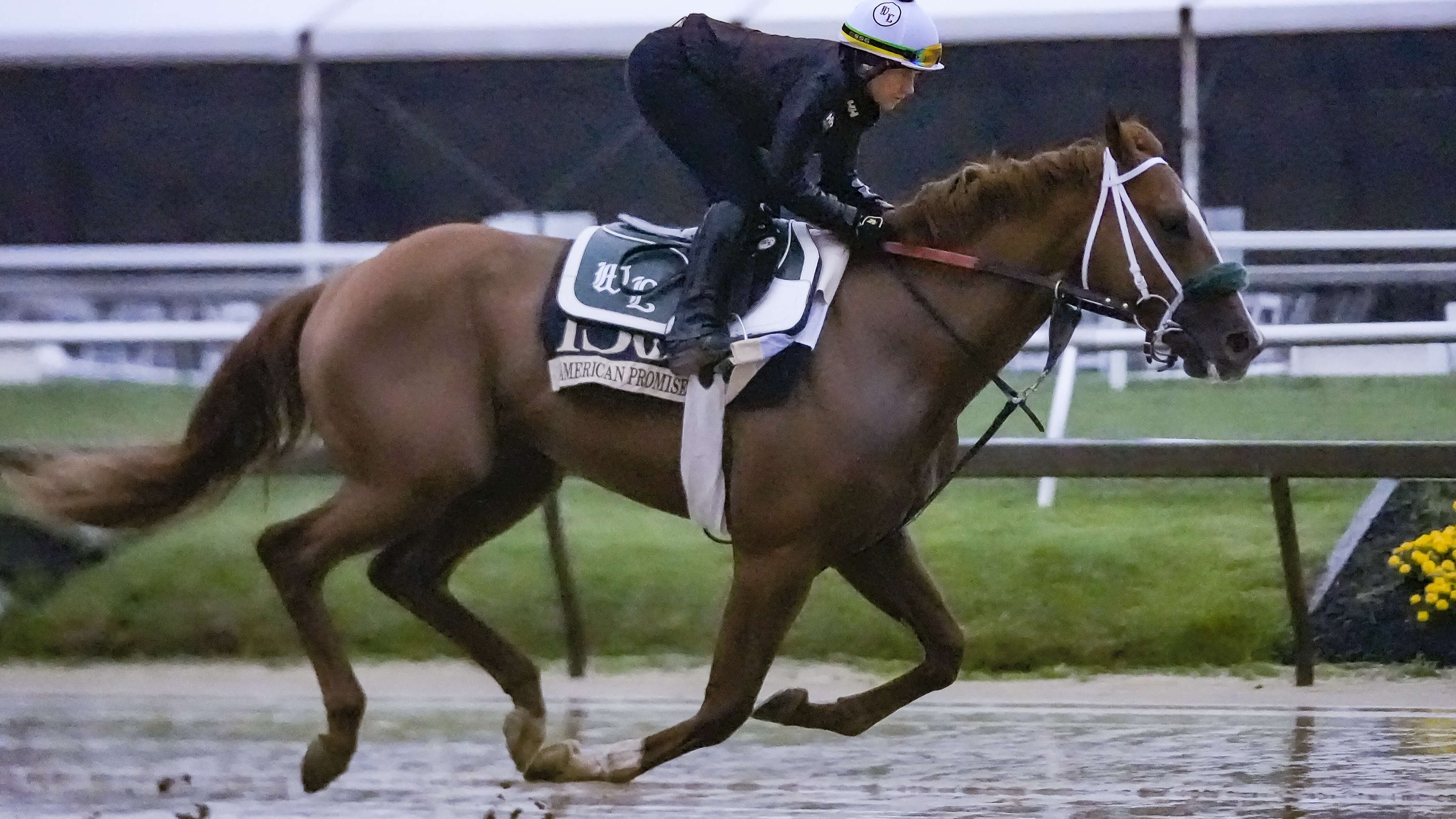 How To Bet - Preakness Stakes Long Shot Prediction: Redemption Time for American Promise