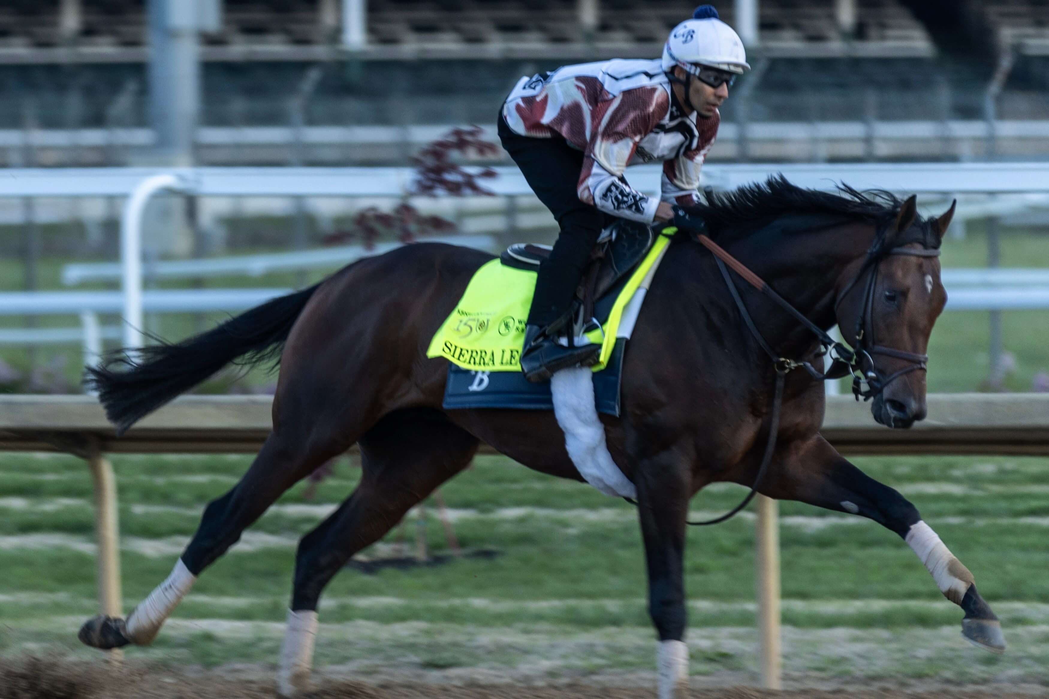 How To Bet - Belmont Stakes Horses Lineup: 2024 Field, Post Positions & More