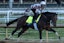 Sierra Leone horse racing