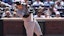 Aaron Judge New York Yankees MLB