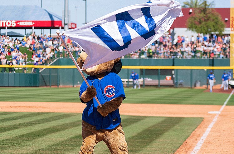 Chicago Cubs Mascot