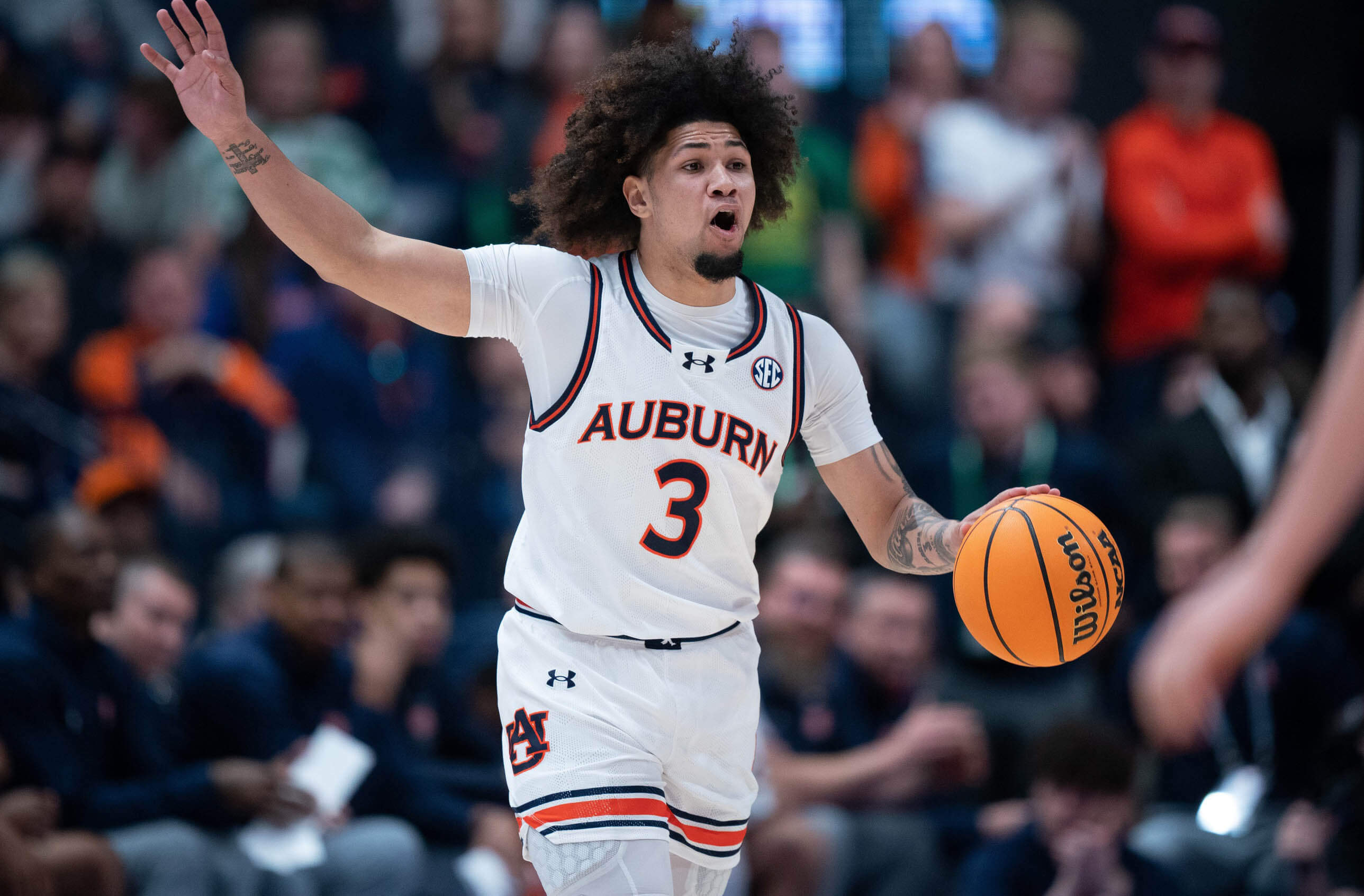 Yale Vs Auburn Predictions, Picks, And Odds – Defense Takes Centerstage ...