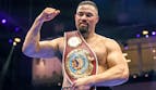Joseph Parker vs Fabio Wardley Predictions, Picks & Odds for October 25