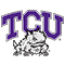 Texas Christian Horned Frogs consensus ncaab betting picks from Covers.com