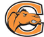 Campbell Fighting Camels consensus ncaaf betting picks from Covers.com
