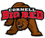 Cornell Big Red consensus ncaaf betting picks from Covers.com