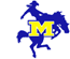 McNeese State Cowboys consensus ncaaf betting picks from Covers.com