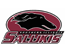 Southern Illinois Salukis consensus ncaaf betting picks from Covers.com