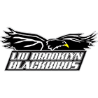 LIU Brooklyn Blackbirds